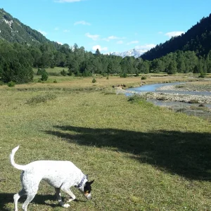 20190912_163320.jpg