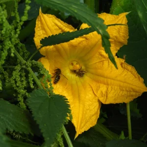 DSCN1338.JPG