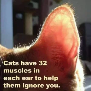FB_IMG_1568480399852.jpg