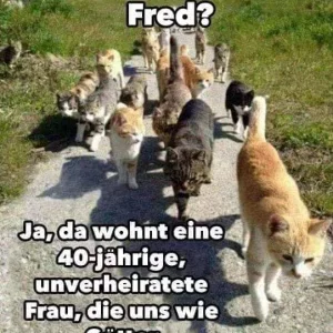 FB_IMG_1568480296587.jpg