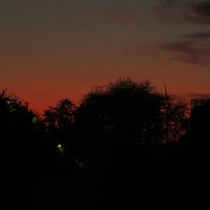 IMG_3312.JPG