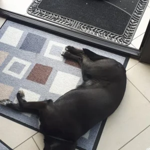 20190919_124228.jpg