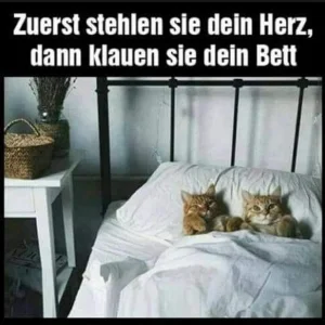 FB_IMG_1568975736759.jpg