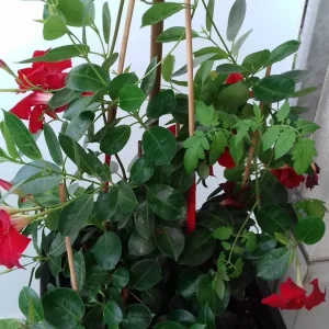 20190920_124953.jpg