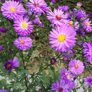 20190922_151739.jpg