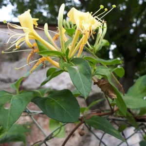 20190922_154858.jpg