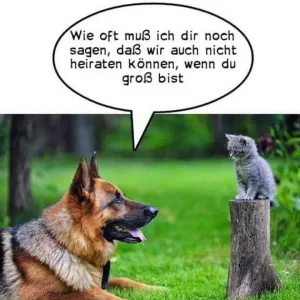 FB_IMG_1569659028996.jpg