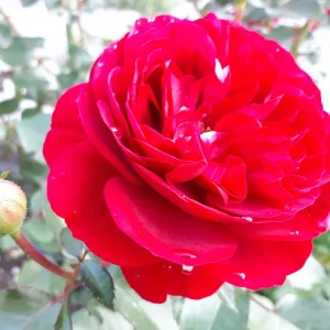20190929_172322.jpg