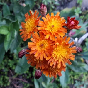 20190929_172306.jpg