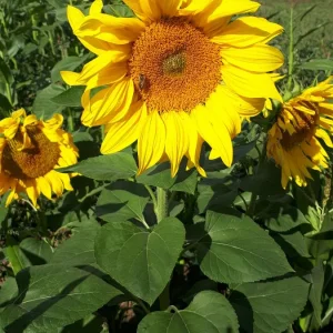 20191008_114317.jpg