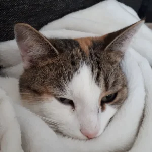 20191012_125943.jpg