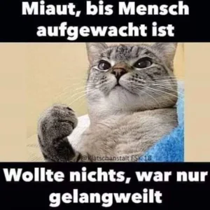 megalol_77944.jpg