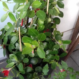 20191026_163210.jpg