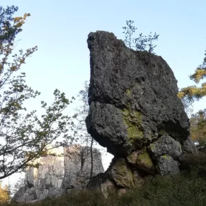 PfahlBaum004x1000er.jpg
