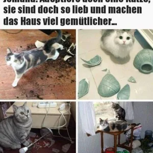 FB_IMG_1572618374849.jpg
