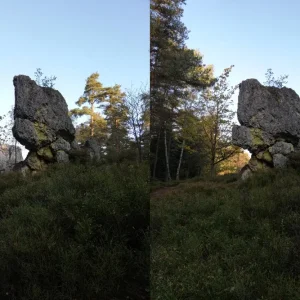 pfahl2waechter001.jpg