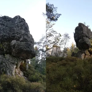 pfahl2waechter003.jpg