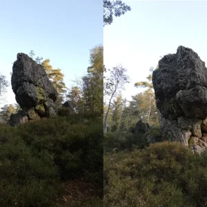 pfahl2waechter002.jpg