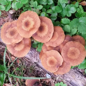 20191006_152619.jpg