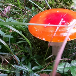 20191006_144817.jpg