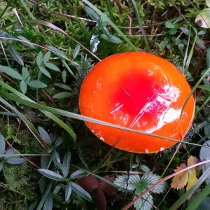 20191006_144901.jpg