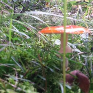 20191006_144853.jpg