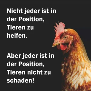 FB_IMG_1573207726931.jpg