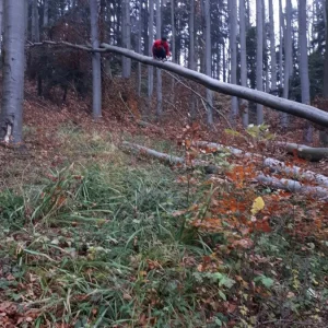 20191117_154642.jpg