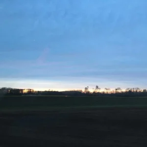 IMG-20191116-WA0015.jpg