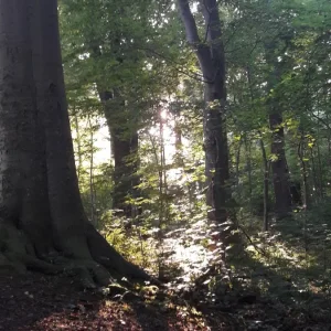 20170618_195711.jpg