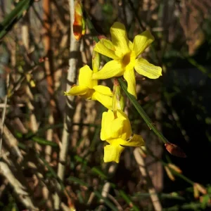 20191218_123415.jpg