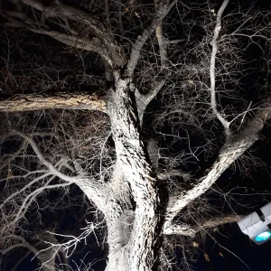 20191218_164643.jpg