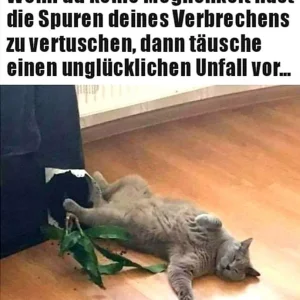 FB_IMG_1576736864843.jpg