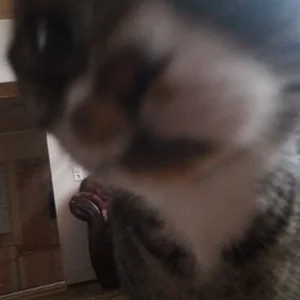 20191226_130641.jpg