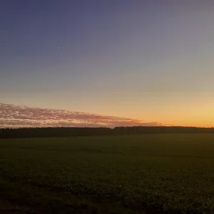 69E371B4-9C74-4479-B6B5-56900D20D4F3.jpeg