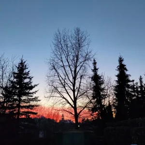 IMG20191231170929.jpg