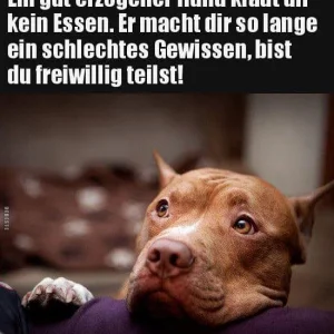 FB_IMG_1577960391391.jpg