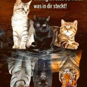 FB_IMG_1578034373908.jpg