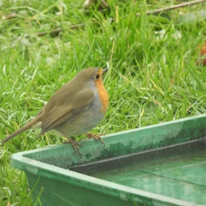 DSCN2875.JPG