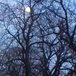 20200108_163830.jpg