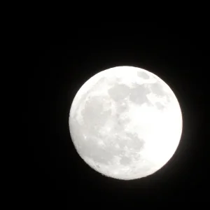 DSCN2301.JPG