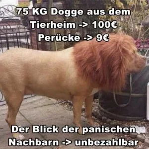 löwe.jpg