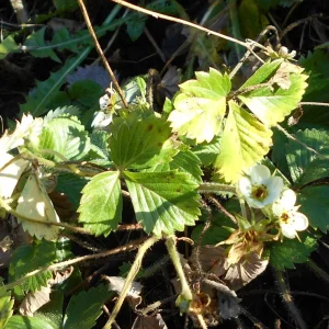 DSCN2421.JPG