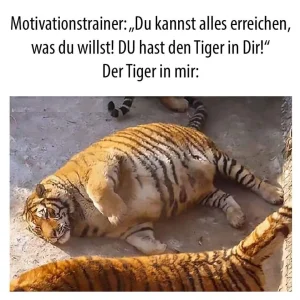 FB_IMG_1579524721442.jpg