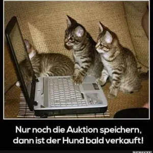 FB_IMG_1580224642064.jpg
