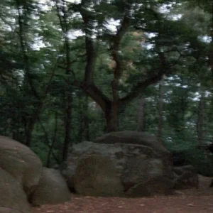 Orb.jpg