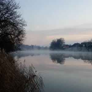 DSCN2310.JPG