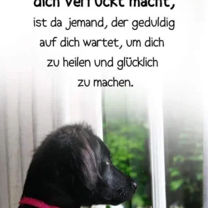 FB_IMG_1581014226500.jpg