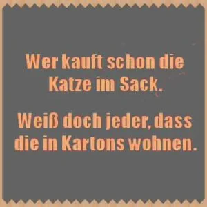 FB_IMG_1581577559393.jpg