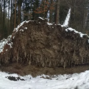 PANO_20200213_123255.jpg